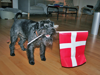 klik for stor størrelse